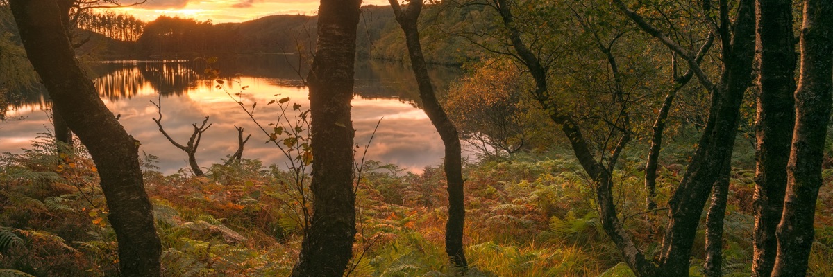 Loch Trool image